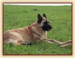 Foto Zdeňka Šimková