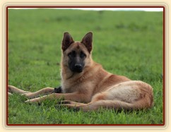 Foto Zdeňka Šimková