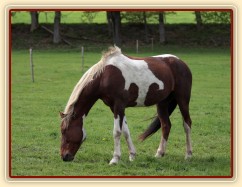 Foto Zdeňka Šimková