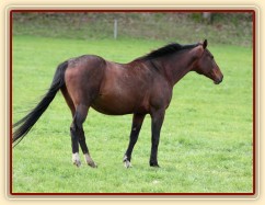 Foto Zdeňka Šimková