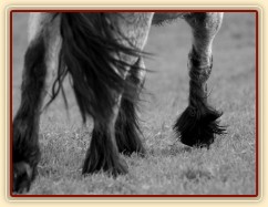 Foto Zdeňka Šimková