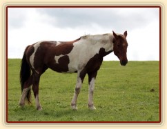 Foto Zdeňka Šimková