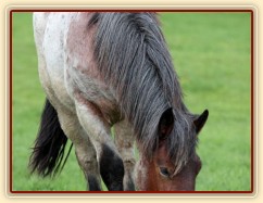 Foto Zdeňka Šimková