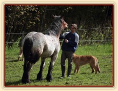 Foto Zdeňka Šimková