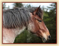 Foto Zdeňka Šimková