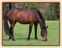 Foto Zdeňka Šimková