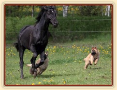 Foto Zdeňka Šimková