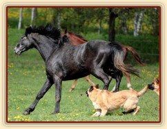 Foto Zdeňka Šimková