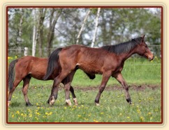 Foto Zdeňka Šimková