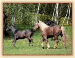 Foto Zdeňka Šimková