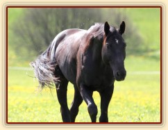 Foto Zdeňka Šimková