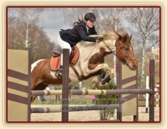 Plvní letošní závody Klatovy duben 2013, Vikina