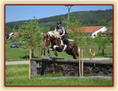 Všestrannost Borová květen 2013, Vikina v crossu Stříbrné podkovy