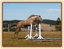 Tříletá Vesna při skákání ve volnosti