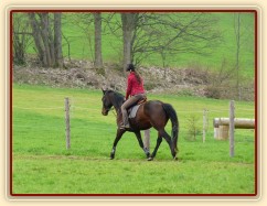 Pětiletá Royal Lily při tréninku na jízdárně