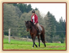 Pětiletá Royal Lily při tréninku na jízdárně