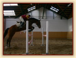 Skákání skokové řady