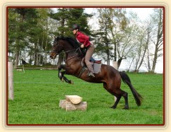 Pětiletá Royal Lily při tréninku na jízdárně