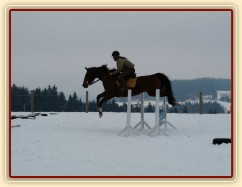 Takhle u nás začal letos v březnu skokový trénink  - na sněhu:-)