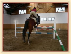 Skákání skokové řady bez otěží