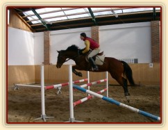 Skákání skokové řady