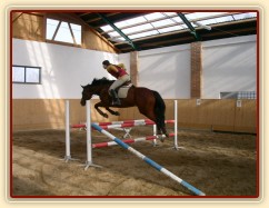 Skákání skokové řady bez otěží