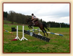 Pětiletá Fivitas Dei při práci na jízdárně