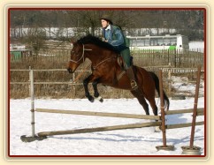 Skákání "bez řízení"
