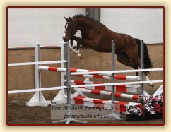 Otec Goldie, Ojoetsjni´s Grevenrit