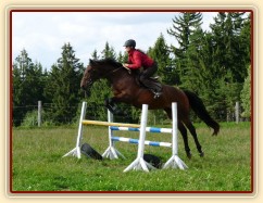 Ascara a skákání skokové řady, příprava va VZ klisen
