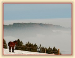 Acsara se kochá výhledem:-)