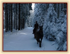V lese... dvouletá Ascara na volno na vyjížďce