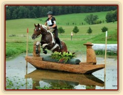 22.9.2013 - Vikina a Adéla Císařová startovaly v Borové poprvé ve všestrannosti stupně S (CNC*), cross překonaly tradičně čistě a umístily se na 6. místě.