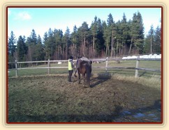 Obsedání Advíka, první nasednutí