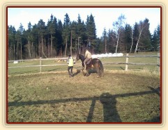 Obsedání Advíka, první ježdění v kroku