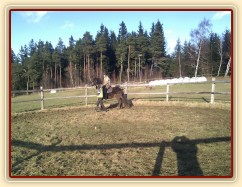 Obsedání Advíka, první ježdění v kroku