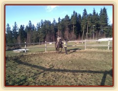 Obsedání Advíka, první ježdění v kroku