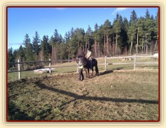 Obsedání Advíka, první ježdění v kroku