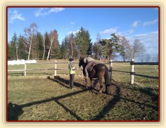 Obsedání Advíka, pochvala:-)