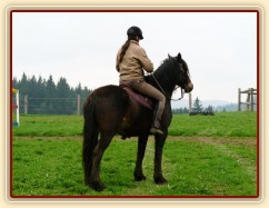 Ježdění na jízdárně, nastoupení