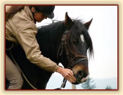 Ježdění na jízdárně, pochvala:-)