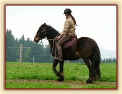 Ježdění na jízdárně, krok...