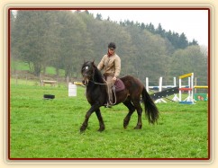 Ježdění na jízdárně, klus...