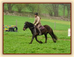 Ježdění na jízdárně, klus...