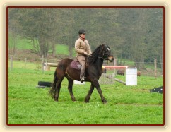 Ježdění na jízdárně, zastavování