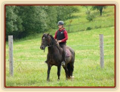 Ježdění na jízdárně, zastavování