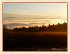 Konečně začíná jaro, brzké ráno, koně u senáže
