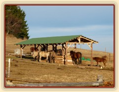 Nový zastřešený krmelec na seno s podlahou