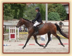 Ascara na ZZV klisen, září 2013