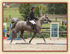 Vesna, tříletá klisna ČT